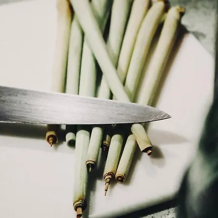 Hotel Goldener Hirsch Buhlerzell