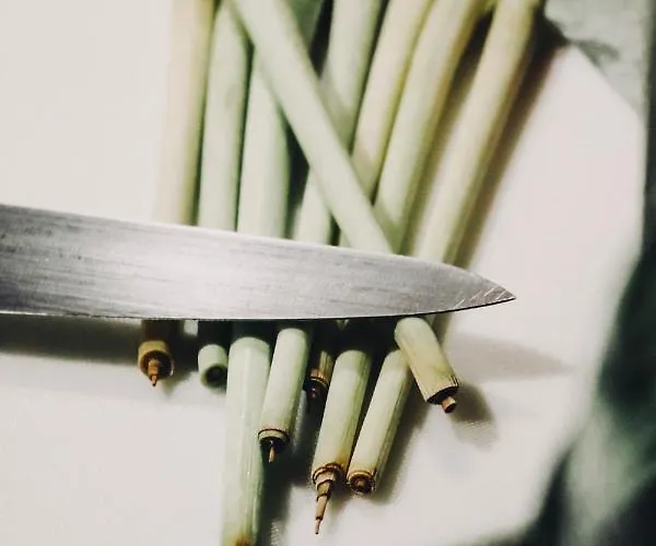 酒店 Goldener Hirsch Bühlerzell